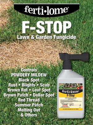 F-Stop secondary image